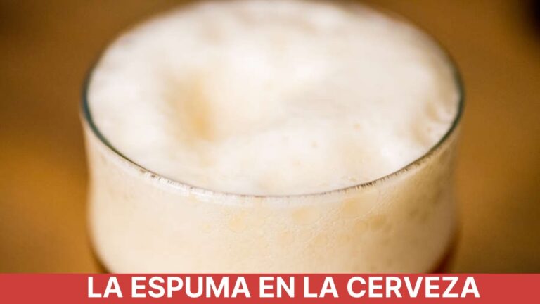 Qué es la espuma de la cerveza: descubre sus secretos y características