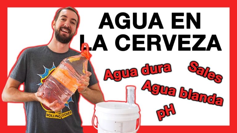 Cómo desclorar el agua para hacer cerveza en casa: métodos efectivos