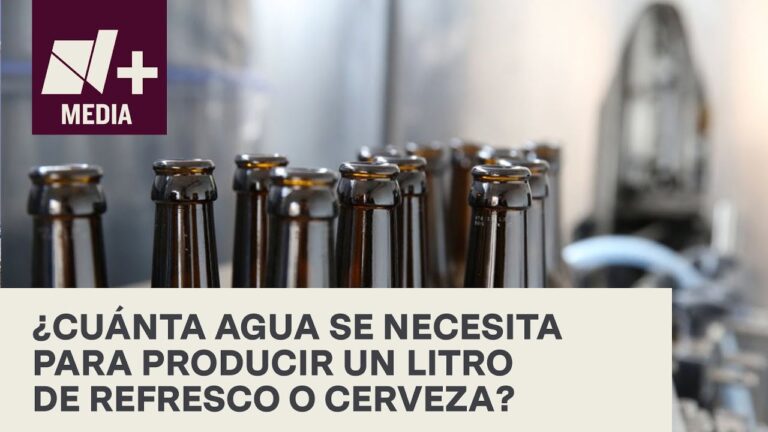 ¿Cuánta Agua Tiene una Cerveza? Descubre la Composición Exacta Aquí