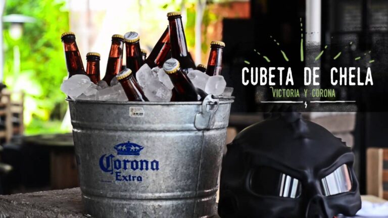 ¿Cuántas cervezas contiene una cubeta y cómo elegir la cantidad perfecta?